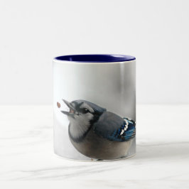 アオカケスの写真 ツートーンマグカップ