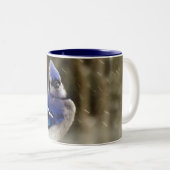 アオカケスの写真 ツートーンマグカップ (正面右)