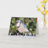 アオカケスの挨拶状 カード (黄色い花)