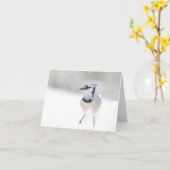 アオカケスの挨拶状(中ブランク) カード (黄色い花)