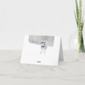 アオカケスの挨拶状(中ブランク) カード (裏面)