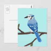 アオカケスの水彩画の絵画の郵便はがき ポストカード (正面/裏面)