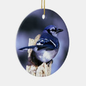 アオカケスの美しい鳥 セラミックオーナメント (右)