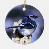 アオカケスの美しい鳥 セラミックオーナメント (正面)