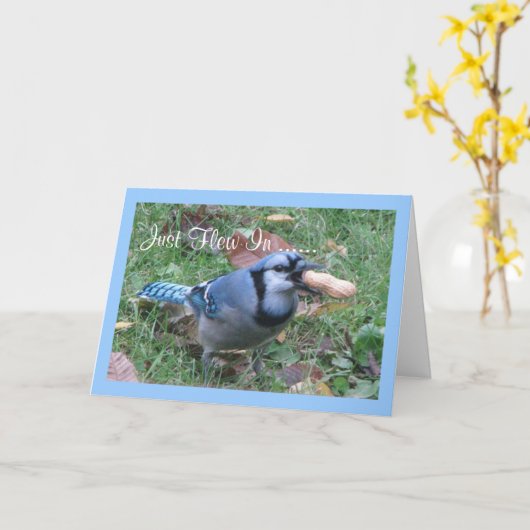 アオカケスの誕生日の挨拶 カード (黄色い花)