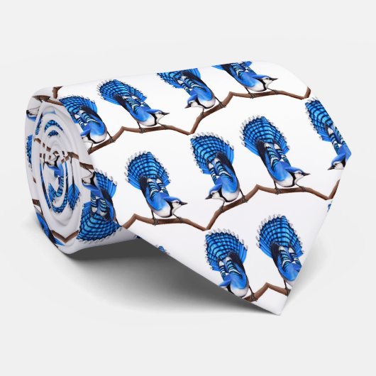 アオカケスの野生のタイ ネクタイ (ロール)