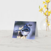 アオカケスの鳥の恋人 カード (黄色い花)