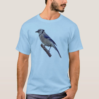 アオカケスの鳥 Tシャツ