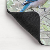 アオカケスの鳴き鳥 マウスパッド (コーナー)
