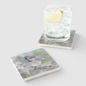 アオカケスのCyanocittaのcristata ストーンコースター (横)