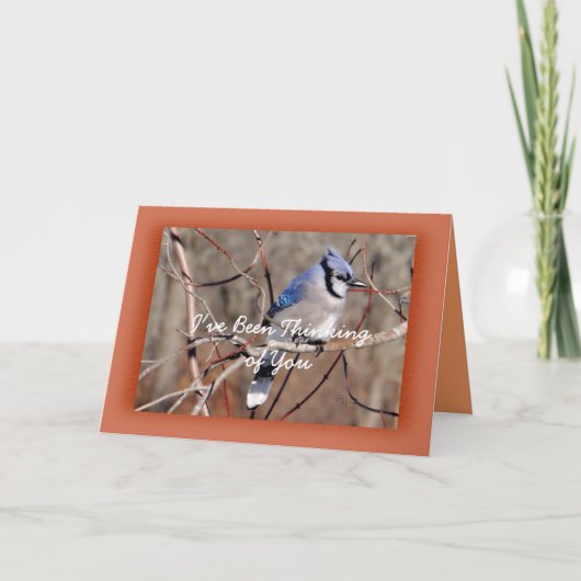 アオカケス8878。 大事な行事をカスタマイズ カード (正面)