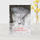 アオカケス-ちょうどので日 カード (黄色い花)