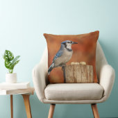 アオカケス クッション (椅子)