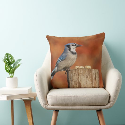 アオカケス クッション (椅子)