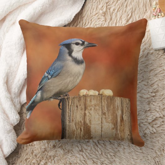 アオカケス クッション (ブランケット)