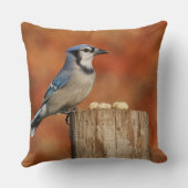 アオカケス クッション (裏面)