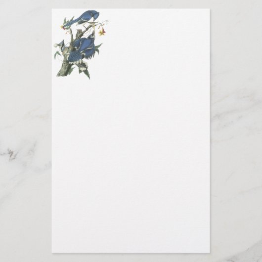 アオカケス、ジョンAudubon 便箋 (正面)
