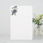 アオカケス、ジョンAudubon 便箋 (スタンド正面)