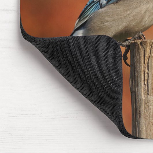 アオカケス マウスパッド (コーナー)