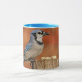 アオカケス マグカップ (中央)