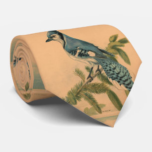 アオカケス(1880年)のヴィンテージのイラストレーション ネクタイ