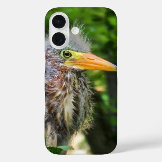 アオサギの雛 Case-Mate iPhoneケース (裏面)