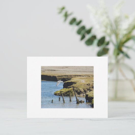 アオサギの飛行 ポストカード (スタンド正面)