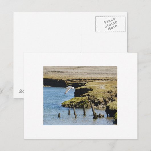 アオサギの飛行 ポストカード (正面/裏面)