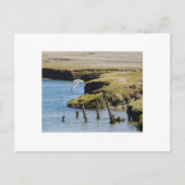 アオサギの飛行 ポストカード (正面)