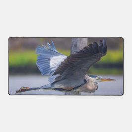 アオサギの飛行、野生の鳥の写真 デスクマット