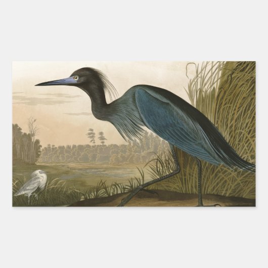 アオサギのAudubonプリント　海岸の芸術 長方形シール (正面)