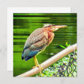 アオサギ (正面/裏面)