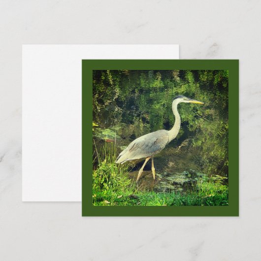 アオサギ (正面/裏面)