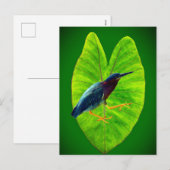 アオサギ シーズンポストカード (正面/裏面)