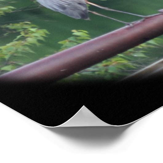 アオサギ ポスター (角)