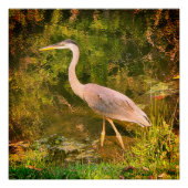 アオサギ ポスター (正面)