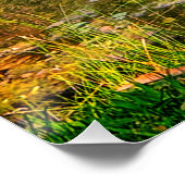 アオサギ ポスター (コーナー)