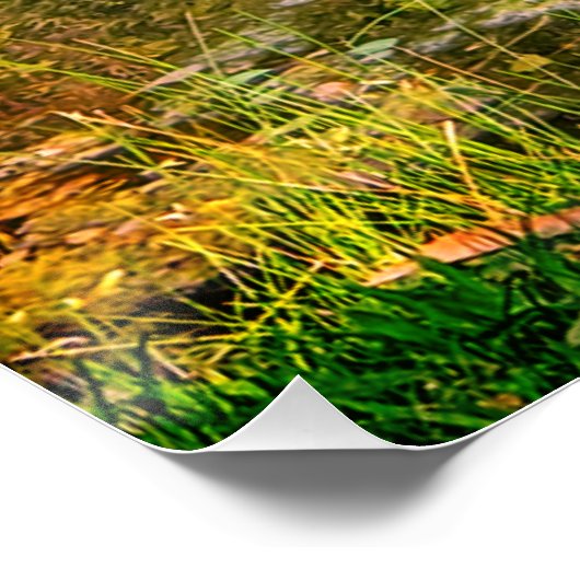 アオサギ ポスター (コーナー)