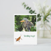 アオサギ ポストカード (スタンド正面)