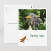 アオサギ ポストカード (正面/裏面)