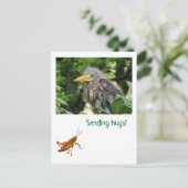 アオサギ ポストカード (スタンド正面)