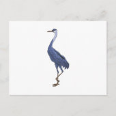 アオサギ ポストカード (正面)