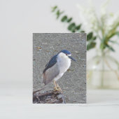 アオサギ ポストカード (スタンド正面)