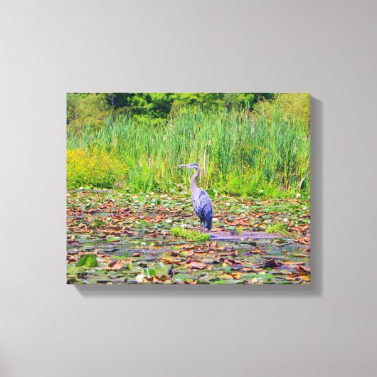 アオサギ，ユリかわいらし，野鳥，自然 キャンバスプリント (正面)