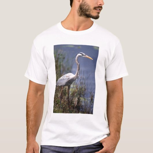 アオサギ 水鳥 Tシャツ (正面)