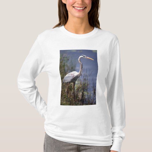 アオサギ 水鳥 Tシャツ (正面)