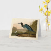 アオサギ Audubon 版画 海岸の芸術 カード (黄色い花)