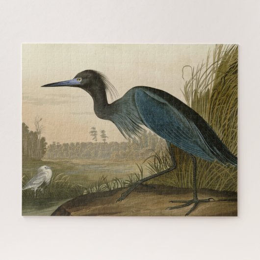 アオサギ Audubon 版画 海岸の芸術 ジグソーパズル (横)