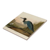 アオサギ Audubon 版画 海岸の芸術 タイル (側面)
