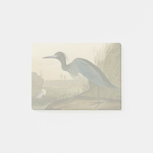 アオサギ Audubon 版画 海岸の芸術 ポストイット (正面)